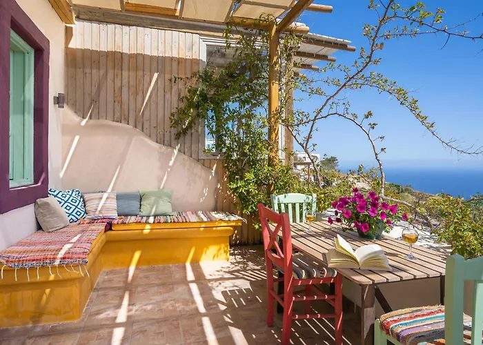 Olive Leaf فِروستيفاني