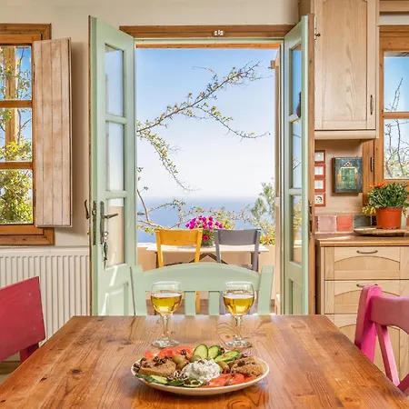 Tatil Evi Olive Leaf *