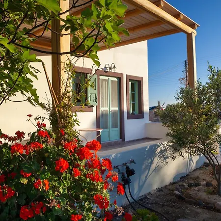 Tatil Evi Olive Leaf