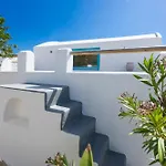 Tatil Evi Olive Leaf