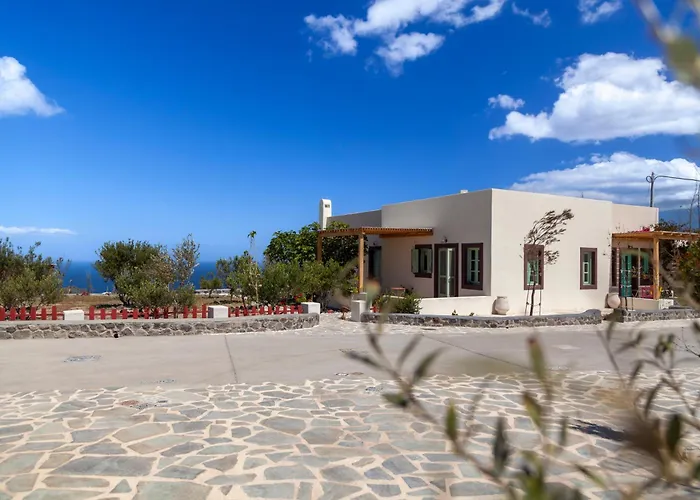 Olive Leaf Firostefani