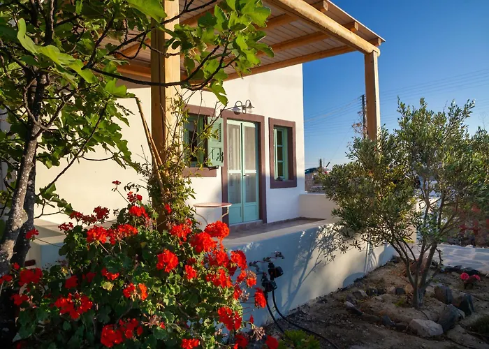 Casa de Férias Olive Leaf