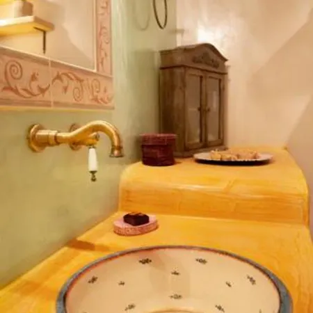 Olive Leaf 피로스테파니