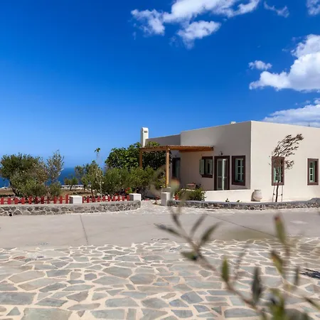 Olive Leaf 피로스테파니