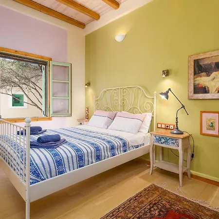 Olive Leaf 피로스테파니