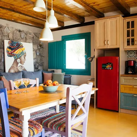 Olive Leaf 피로스테파니